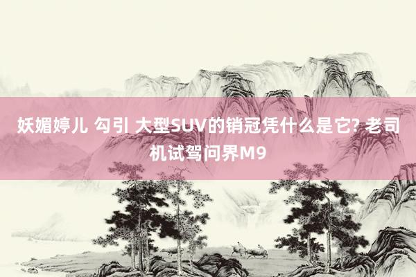 妖媚婷儿 勾引 大型SUV的销冠凭什么是它? 老司机试驾问界M9