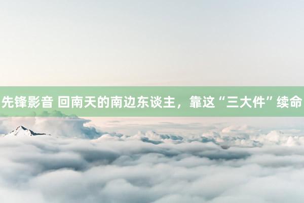 先锋影音 回南天的南边东谈主，靠这“三大件”续命