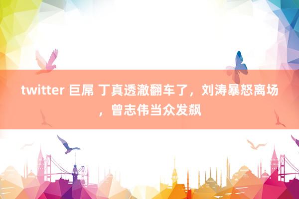 twitter 巨屌 丁真透澈翻车了，刘涛暴怒离场，曾志伟当众发飙