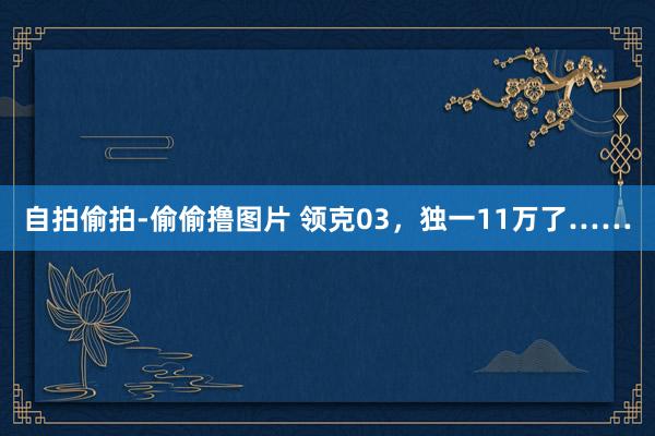 自拍偷拍-偷偷撸图片 领克03，独一11万了……