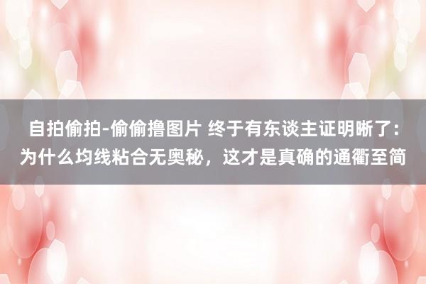 自拍偷拍-偷偷撸图片 终于有东谈主证明晰了：为什么均线粘合无奥秘，这才是真确的通衢至简