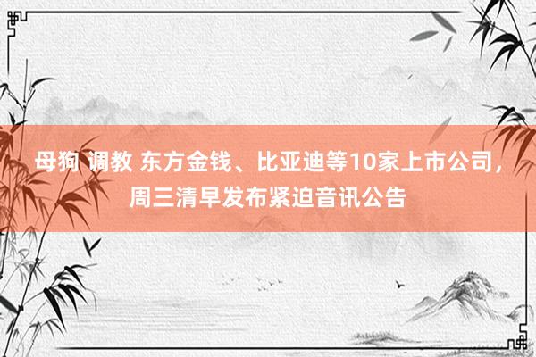 母狗 调教 东方金钱、比亚迪等10家上市公司，周三清早发布紧迫音讯公告