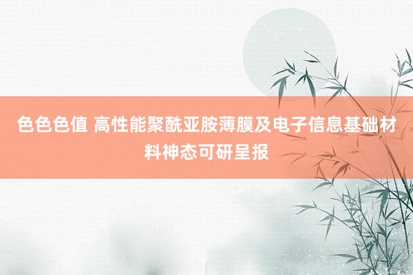 色色色值 高性能聚酰亚胺薄膜及电子信息基础材料神态可研呈报