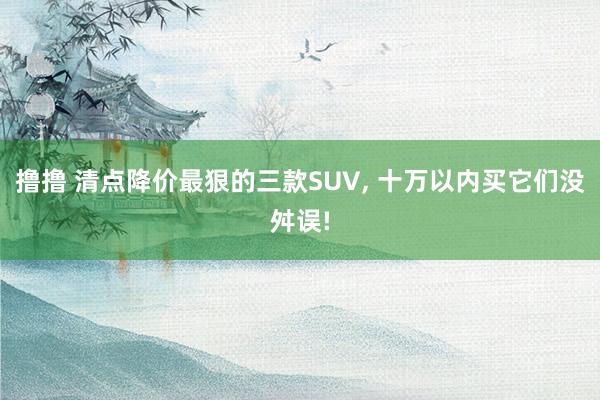 撸撸 清点降价最狠的三款SUV， 十万以内买它们没舛误!