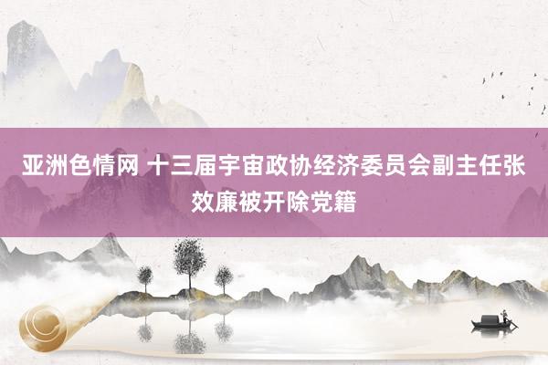 亚洲色情网 十三届宇宙政协经济委员会副主任张效廉被开除党籍