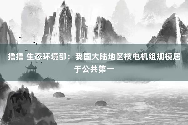 撸撸 生态环境部：我国大陆地区核电机组规模居于公共第一