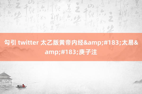 勾引 twitter 太乙版黄帝内经&#183;太易&#183;庚子注