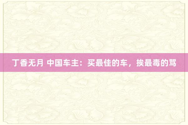 丁香无月 中国车主：买最佳的车，挨最毒的骂