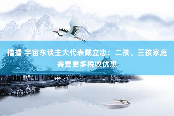 撸撸 宇宙东谈主大代表戴立忠：二孩、三孩家庭需要更多税收优惠